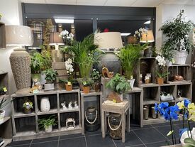 plante vertes