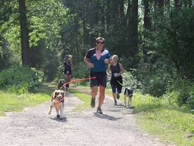 Canicross