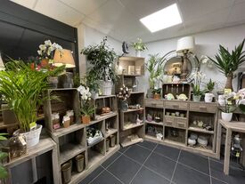 fond du magasin avec plante verte