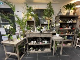 2ème partie du magasin